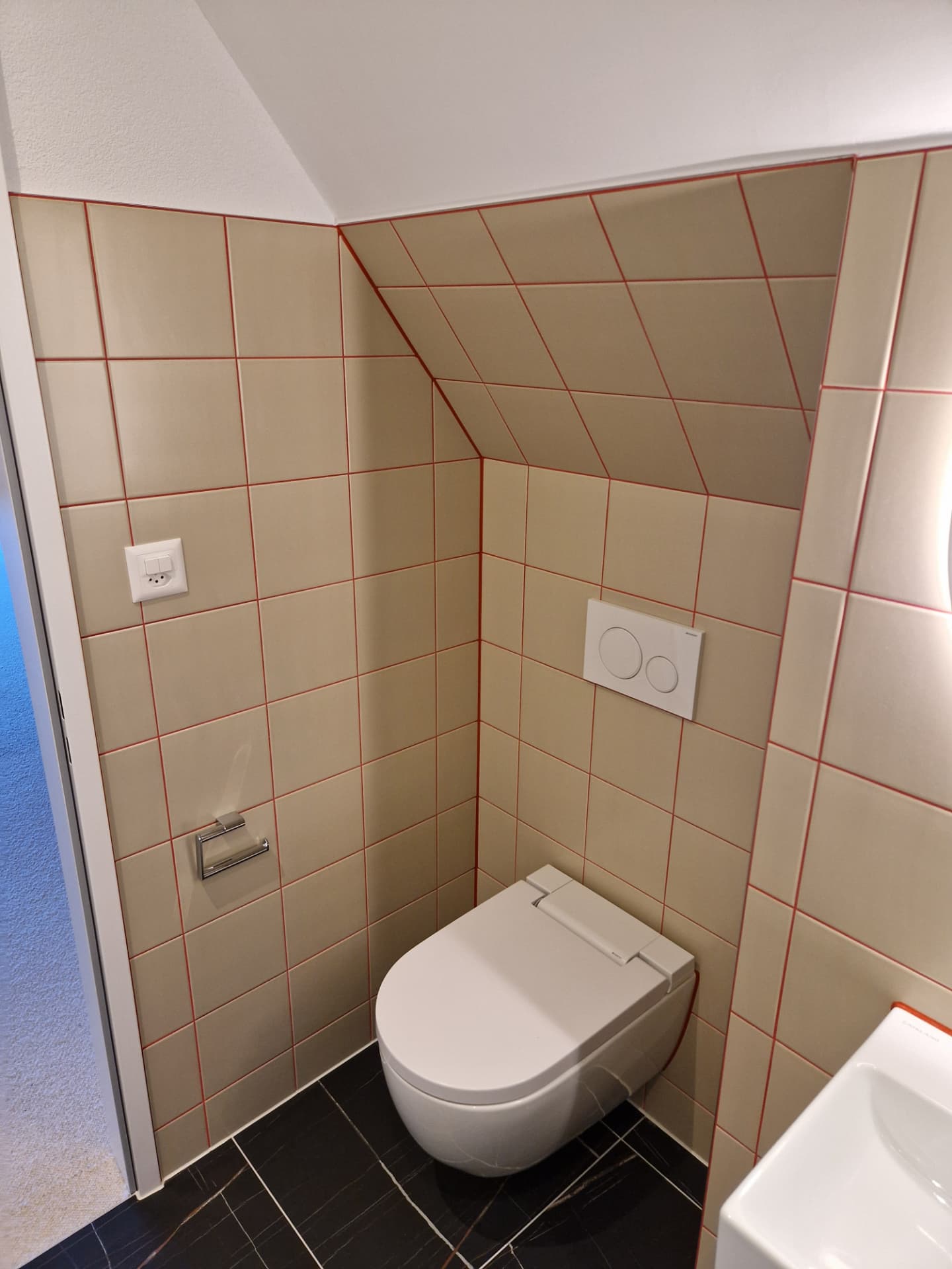 WC eines Einfamilienhauses in Dornach nach dem Umbau