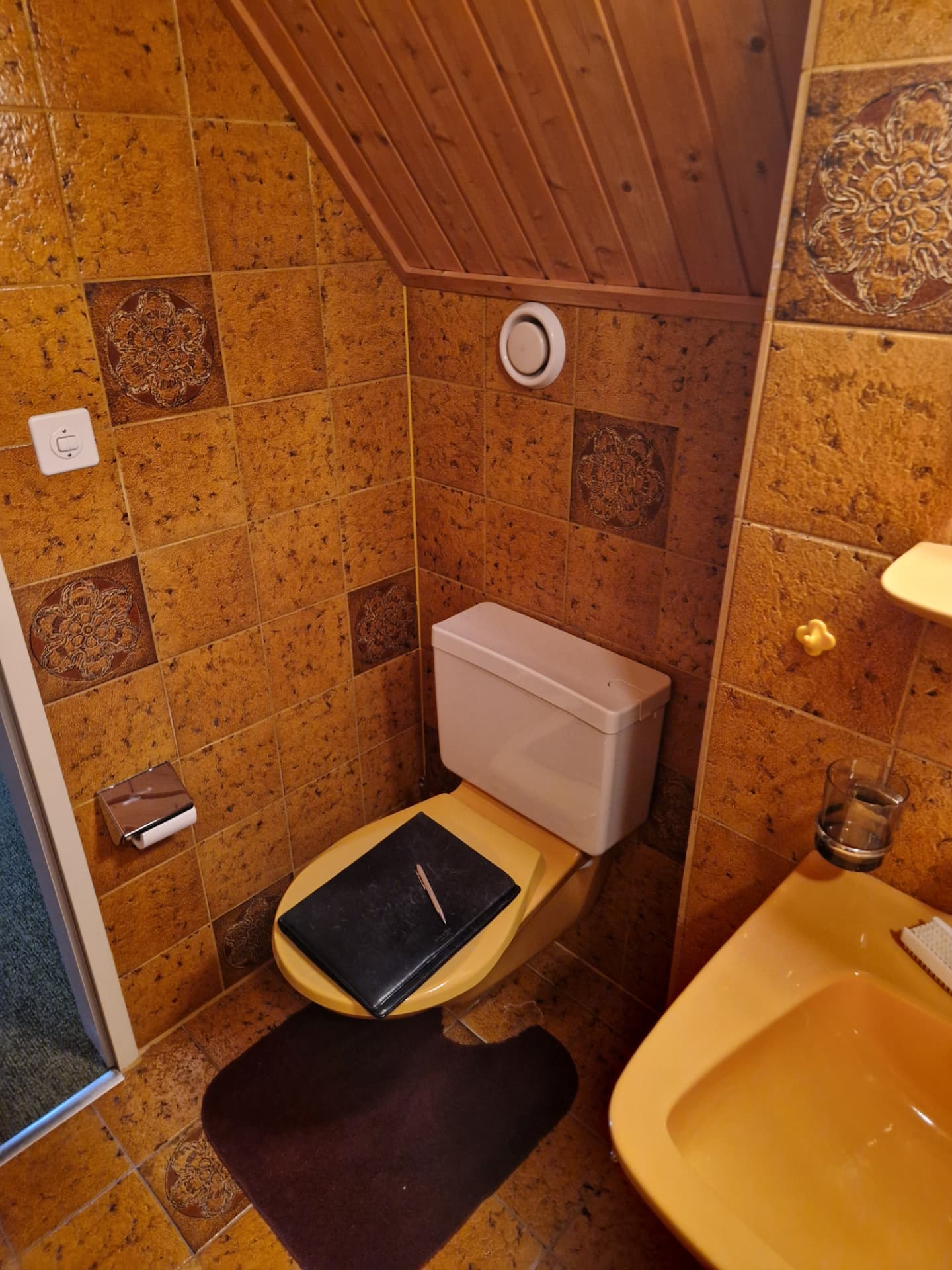 WC eines Einfamilienhauses in Dornach vor dem Umbau